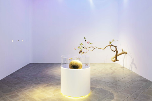WonderLab - Exhibition in Tokyo Lina Ghotmeh — Architecture 07_Wonderlab_Philippe-Chancel_6