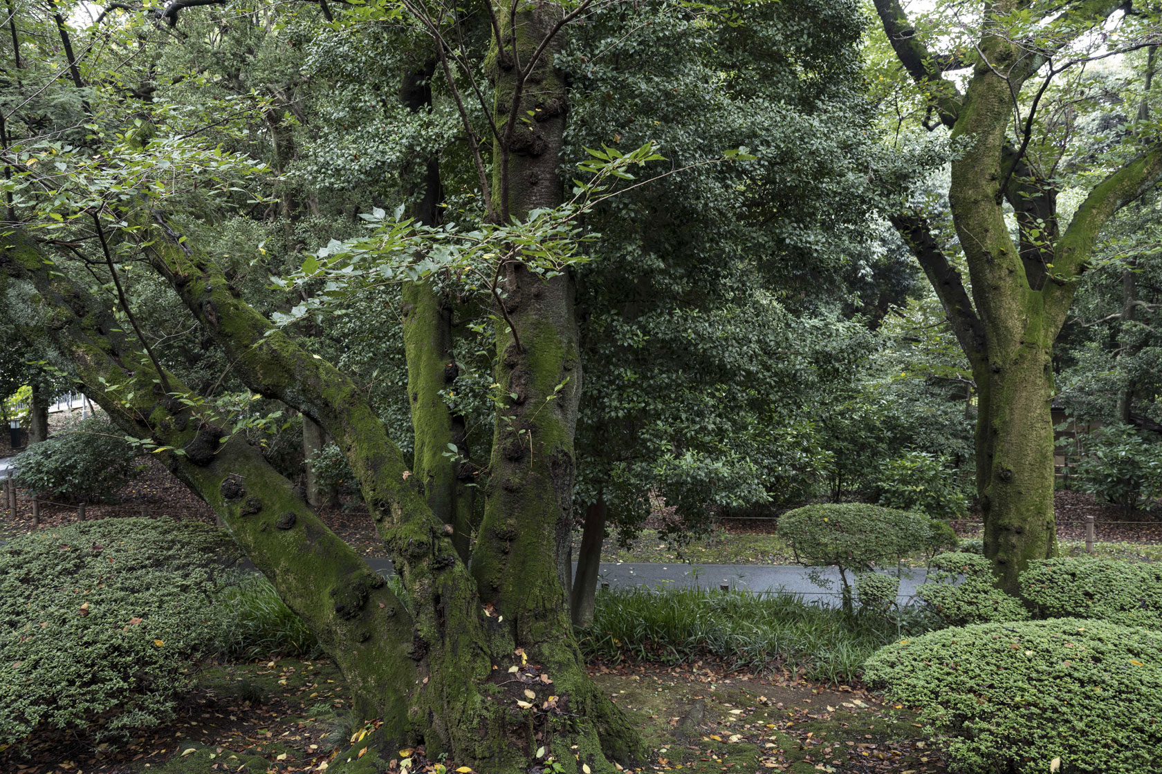 Wonderlab inauguration à Tokyo Lina Ghotmeh — Architecture Wonderlab_Philippe-Chancel_21