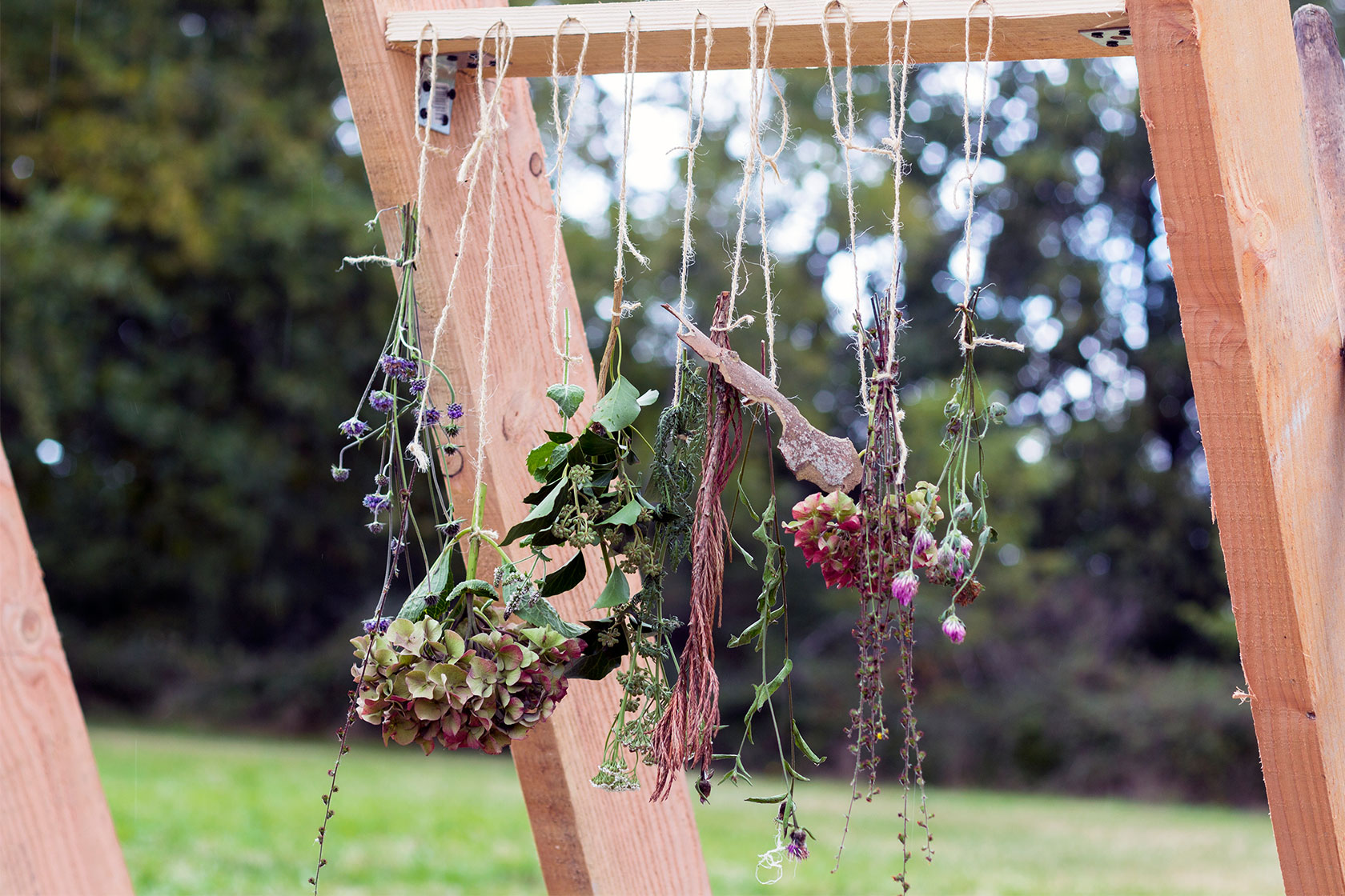 Greenhouse au BoisBuchet Lina Ghotmeh — Architecture 2099_BOISBUCHET_ML_10