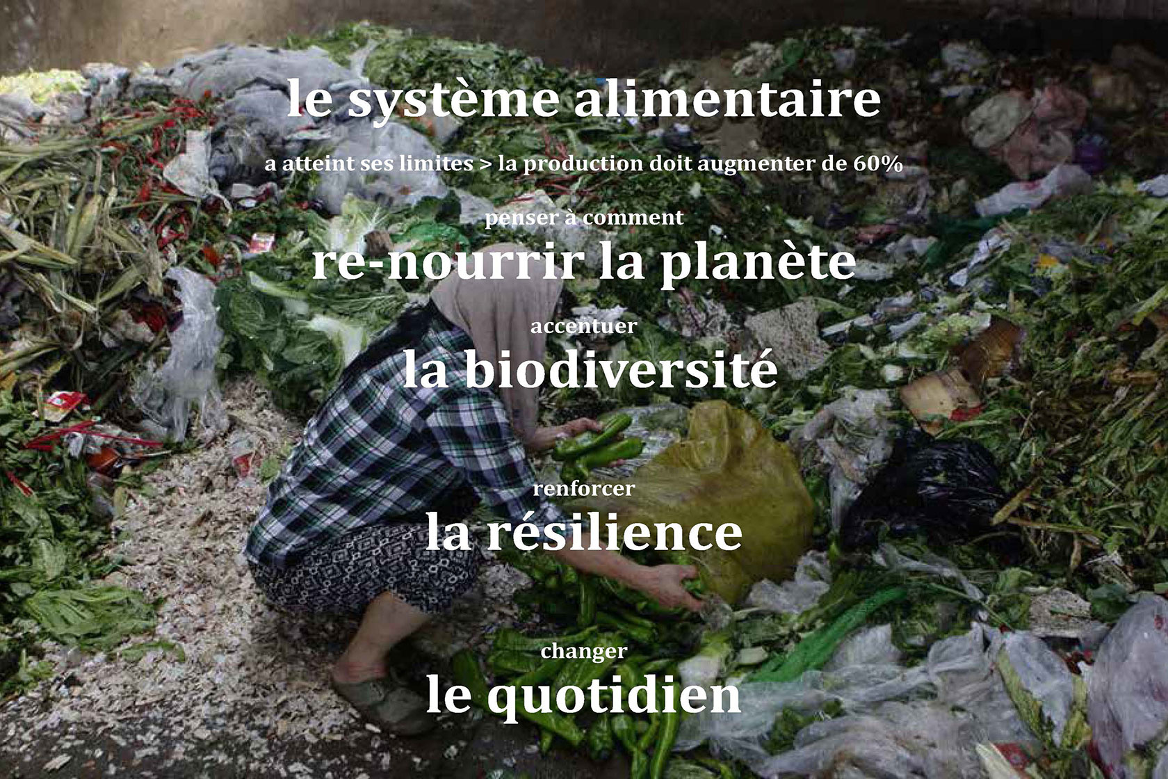 Accueil Lina Ghotmeh — Architecture N20b