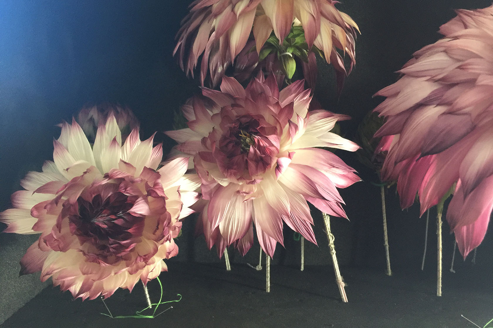 Accueil Lina Ghotmeh — Architecture Nelly Saunier