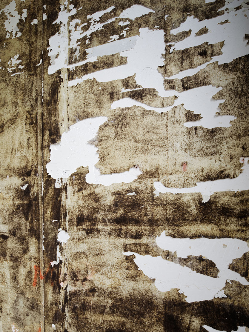 Chantier. Restaurant du Palais de Tokyo Lina Ghotmeh — Architecture 1J4A9822