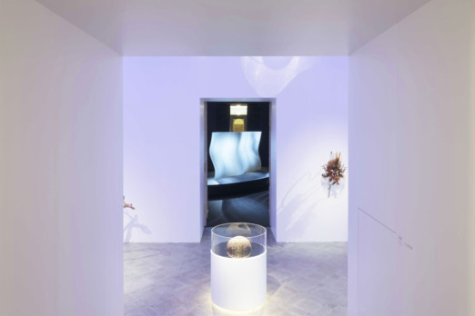 WonderLab - Exhibition in Tokyo Lina Ghotmeh — Architecture 06_Wonderlab_Philippe-Chancel_26