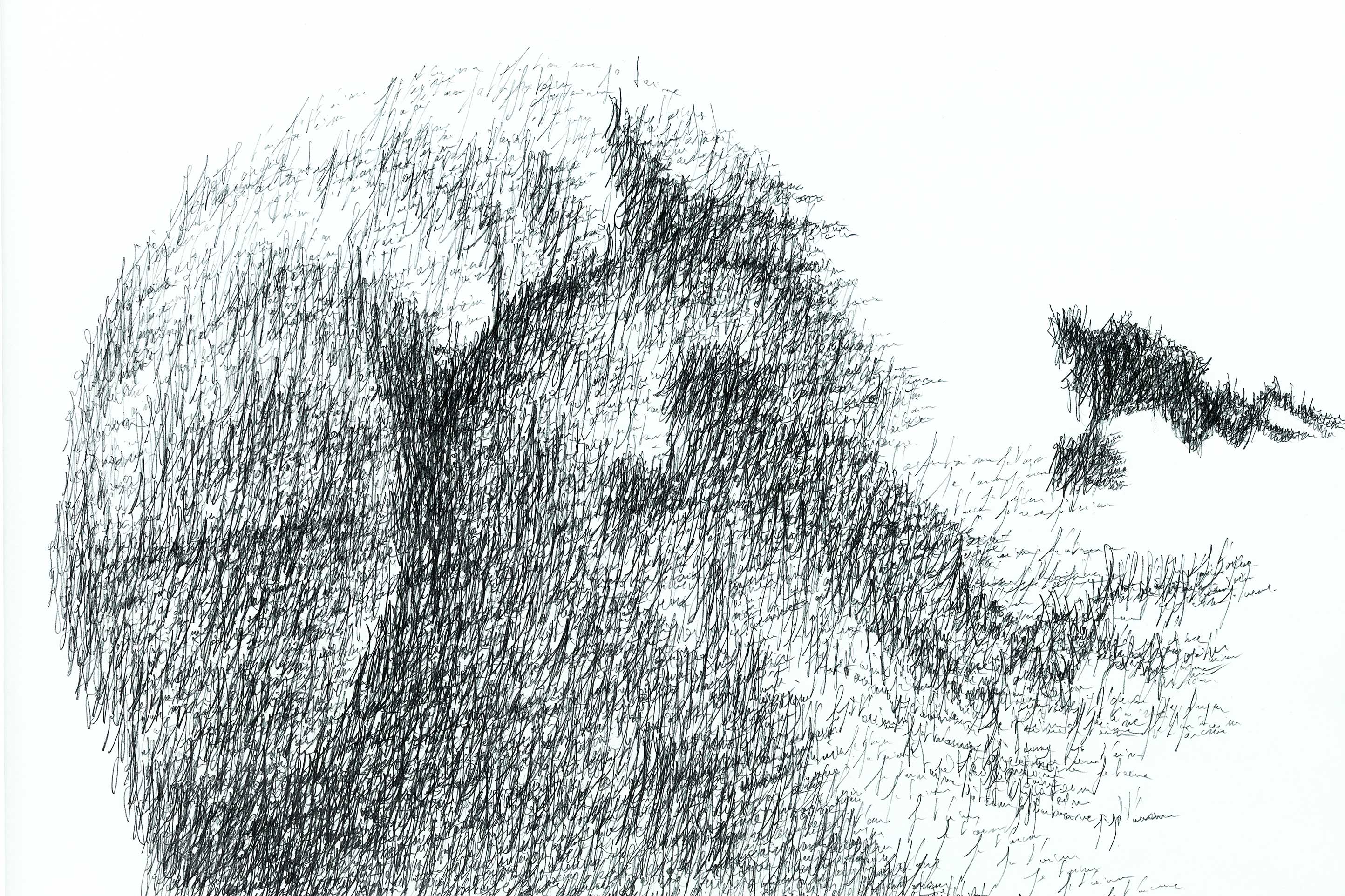 Homepage Lina Ghotmeh — Architecture 2121-Patrick-Roger-6