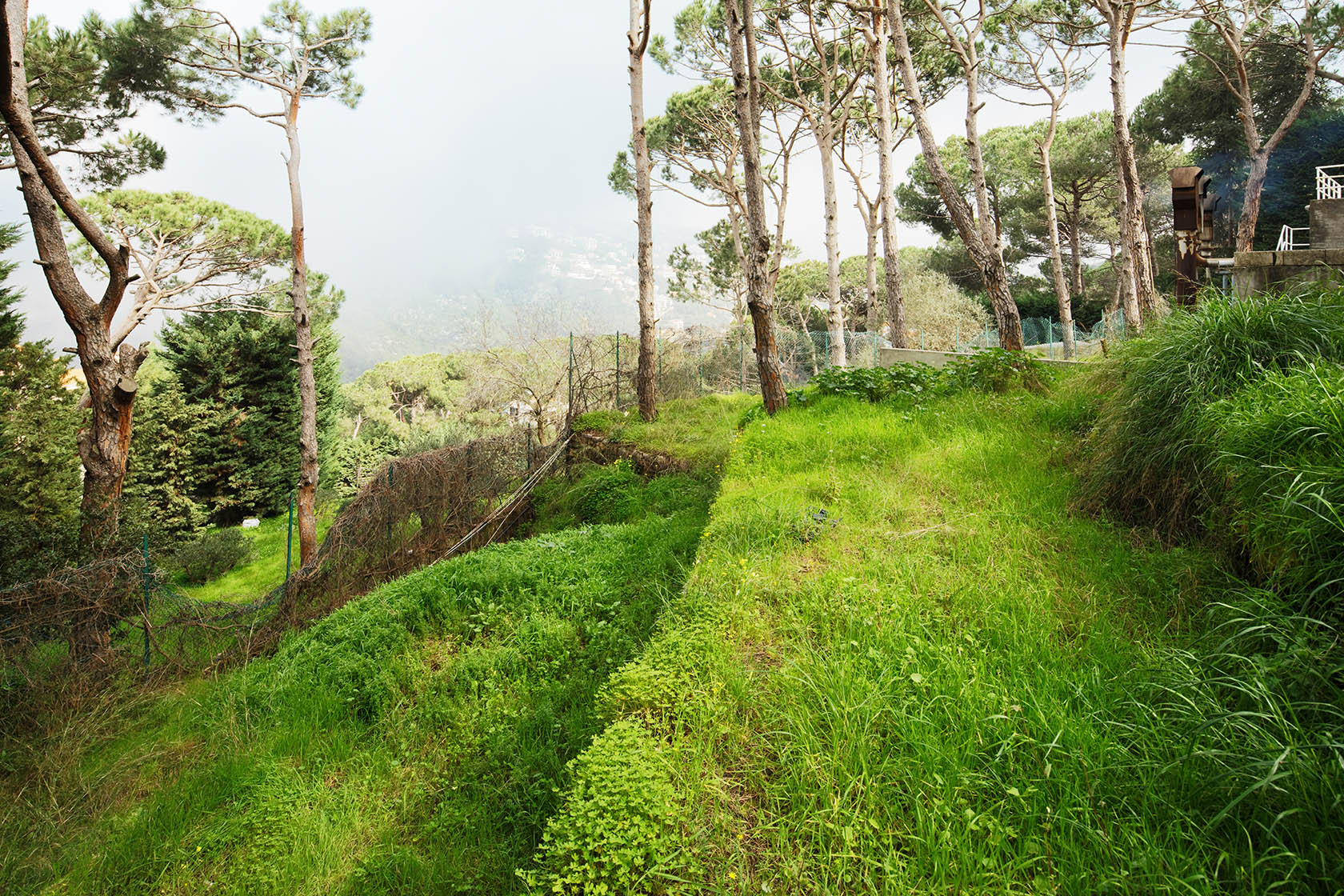 Homepage Lina Ghotmeh — Architecture SaradarNews