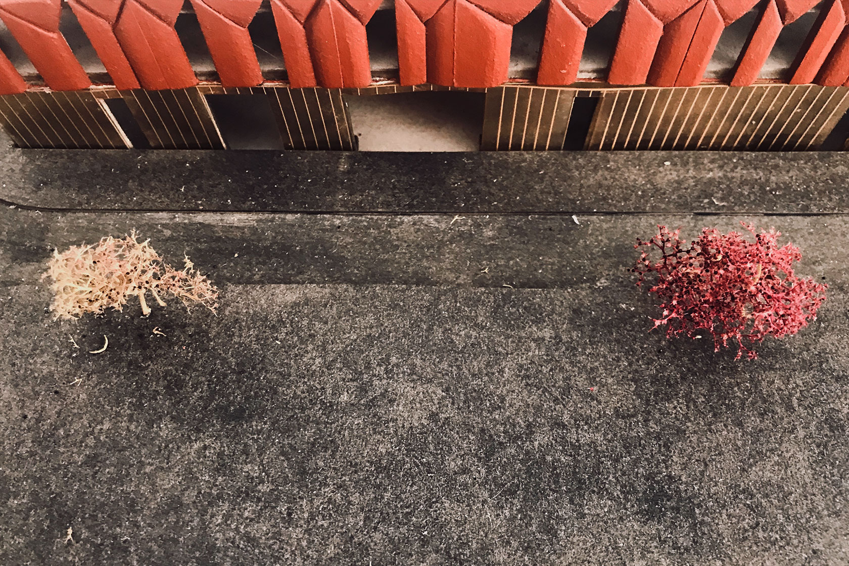 Homepage Lina Ghotmeh — Architecture MASSY