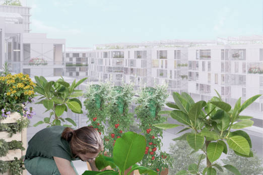 Rehabilitation of the Maine-Montparnasse district Lina Ghotmeh — Architecture UrbanAgriculture